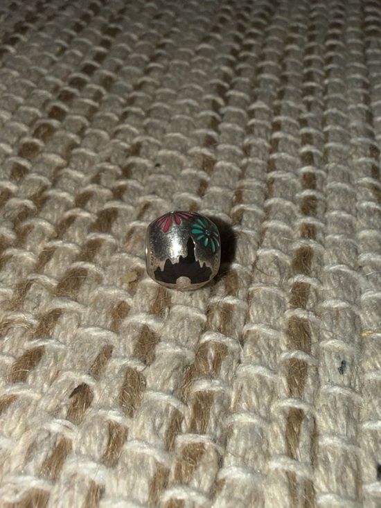 sc151216.jpg Disney World Pandora Charm